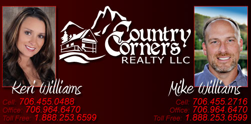 Georgia Mountain Real Estate Property